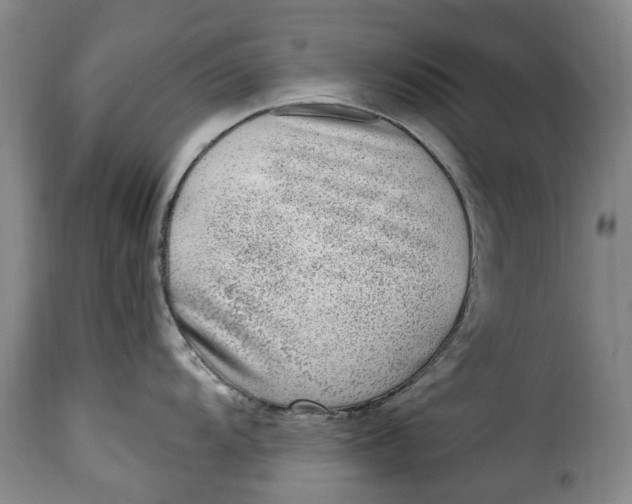 X0000115381104200911241258