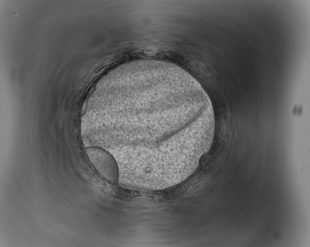 X0000115381105200911241257