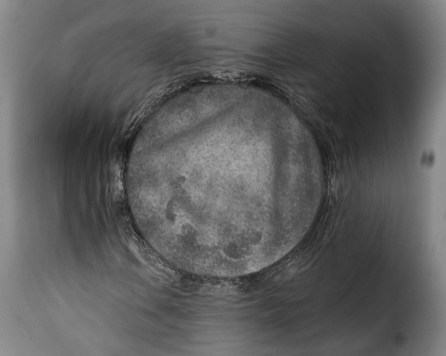 X0000115381106200911241257