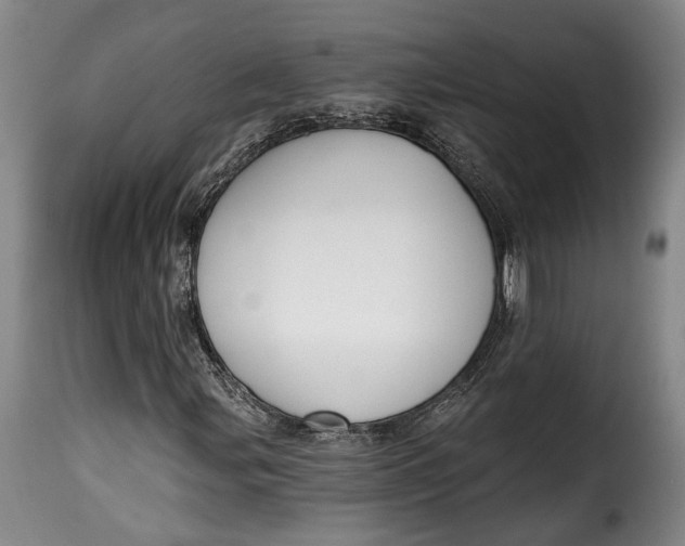 X0000115381107200911241257