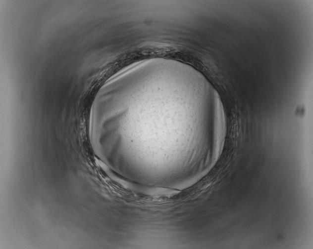 X0000115381109200911241257