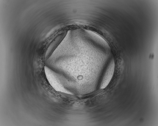 X0000115381110200911241257