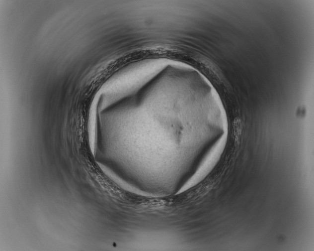 X0000115381111200911241257