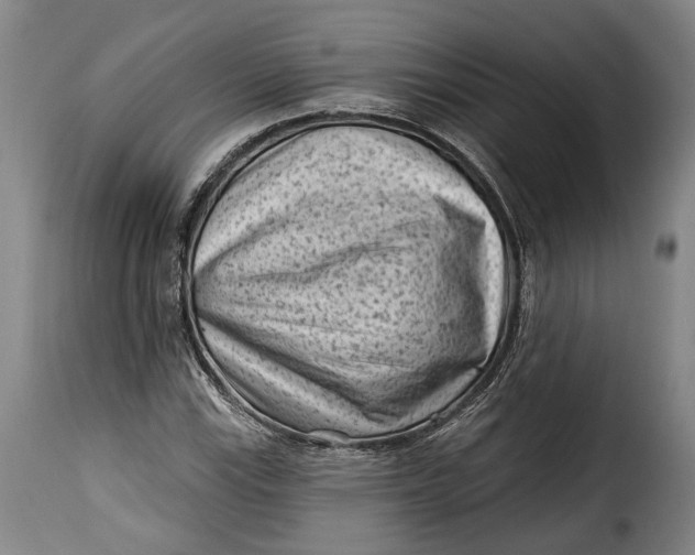 X0000115381115200911241257