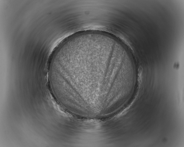 X0000115381117200911241257