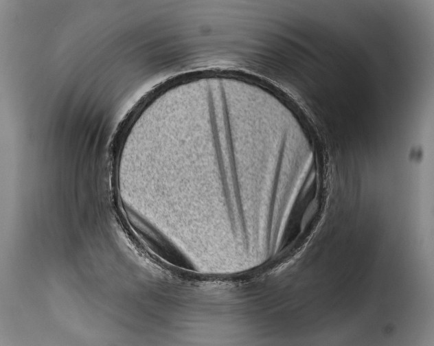 X0000115381118200911241257