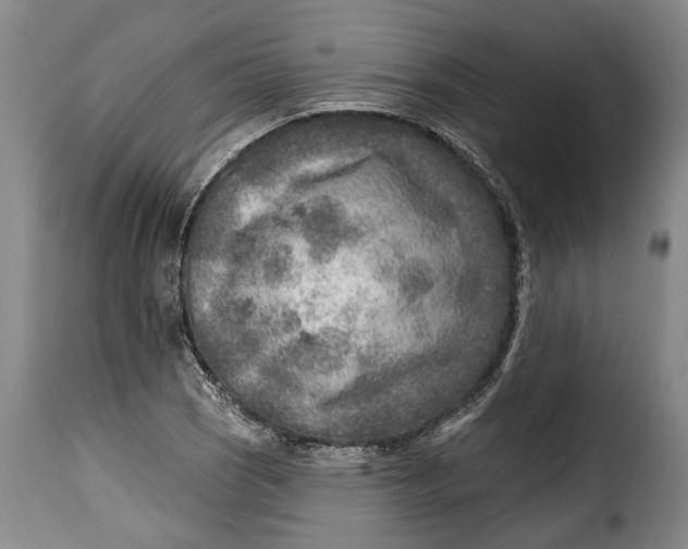 X0000115381121200911241257