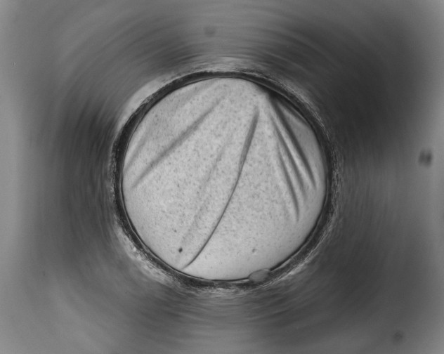 X0000115381122200911241257