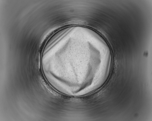 X0000115381123200911241257