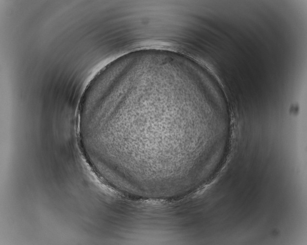 X0000115381125200911241257