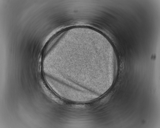 X0000115381126200911241257