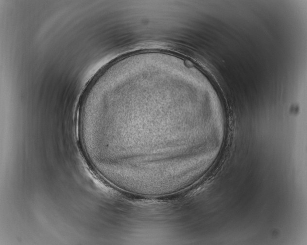 X0000115381127200911241257