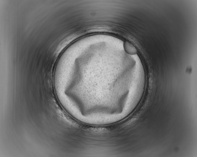 X0000115381129200911241257