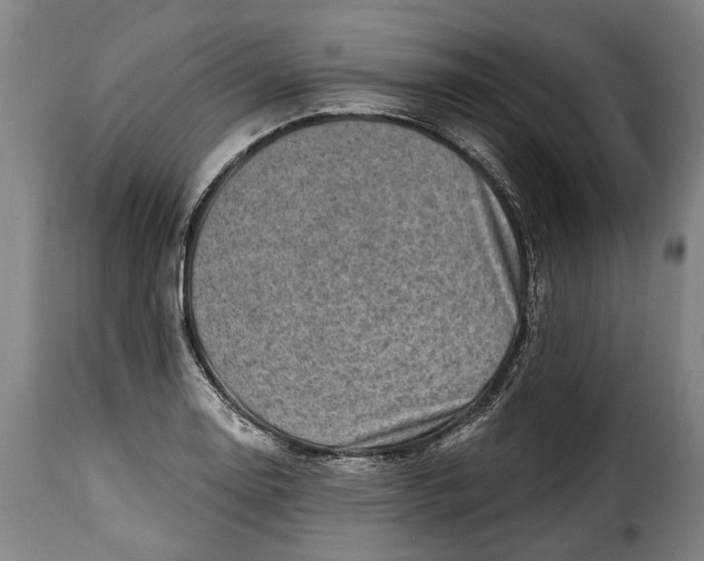 X0000115381130200911241257