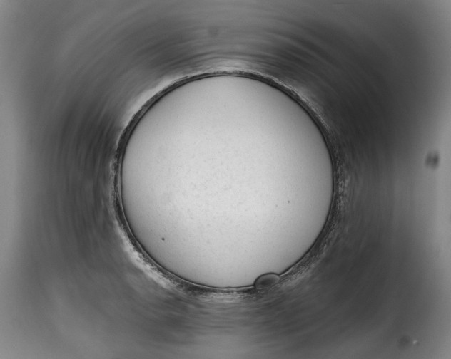 X0000115381134200911241257