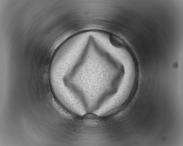 X0000115381137200911241257