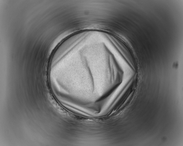 X0000115381138200911241257