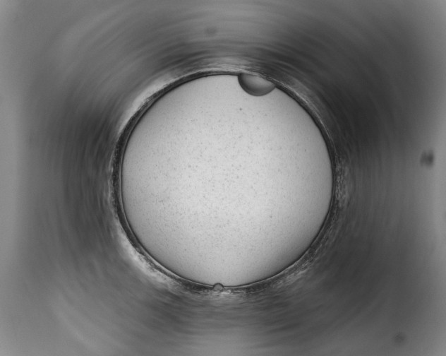 X0000115381139200911241257