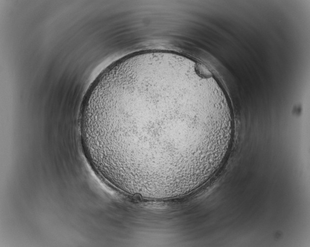 X0000115381141200911241257