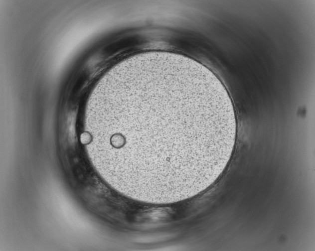 X0000115381150200911241257