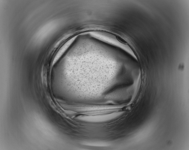 X0000115381151200911241257