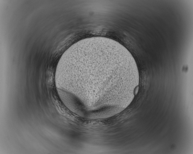 X0000115381154200911241257