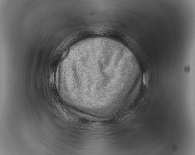 X0000115381155200911241257