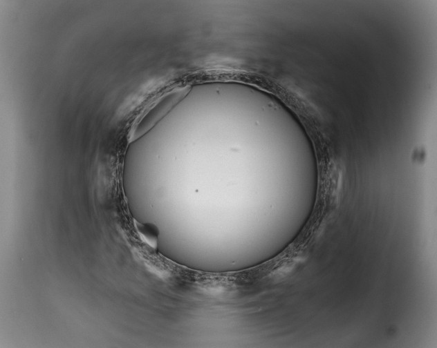 X0000115381157200911241257