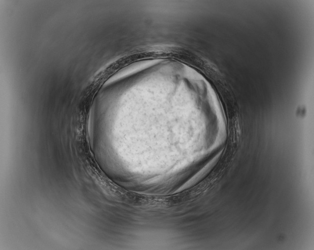 X0000115381158200911241257