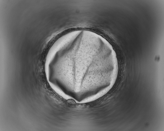 X0000115381160200911241257