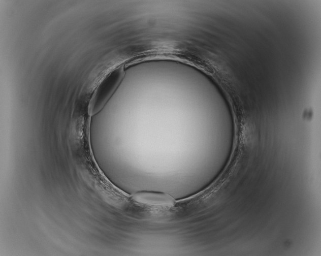 X0000115381161200911241257