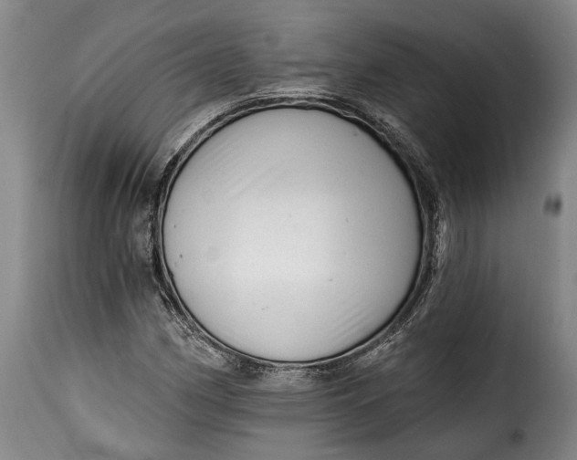 X0000115381162200911241257