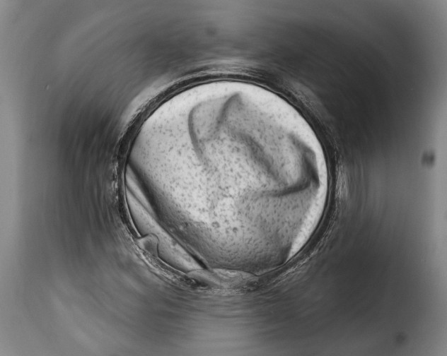 X0000115381164200911241257