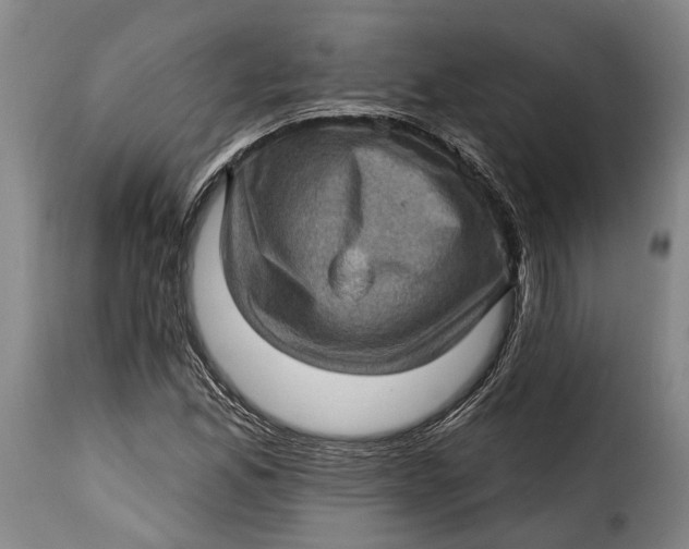 X0000115381165200911241257