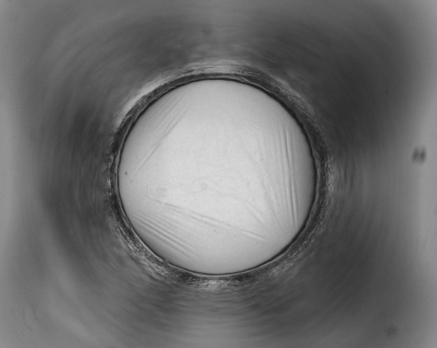 X0000115381166200911241257