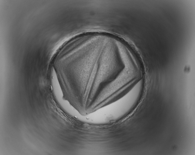 X0000115381167200911241257