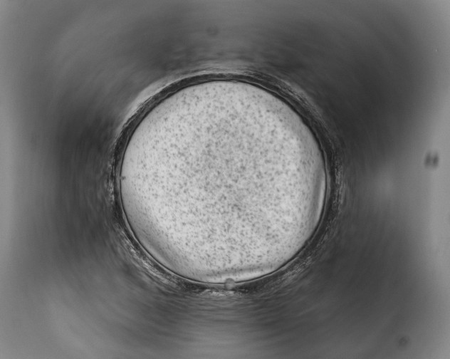 X0000115381168200911241257