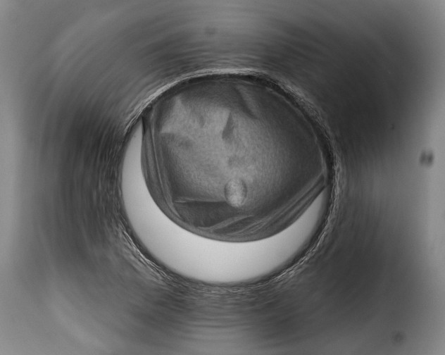 X0000115381169200911241257