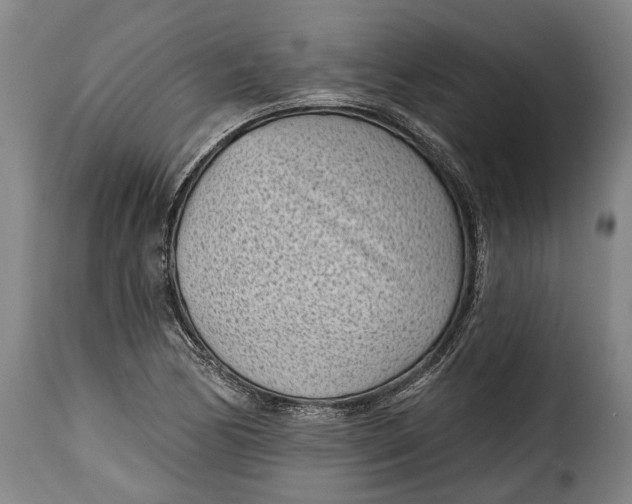 X0000115381170200911241257