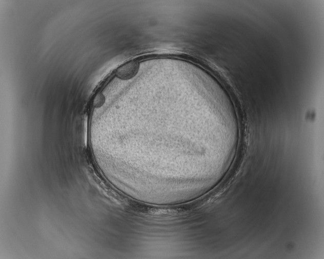 X0000115381171200911241257