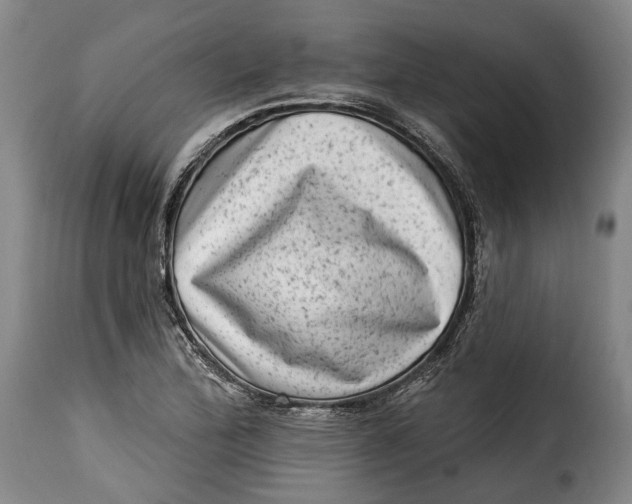 X0000115381172200911241257