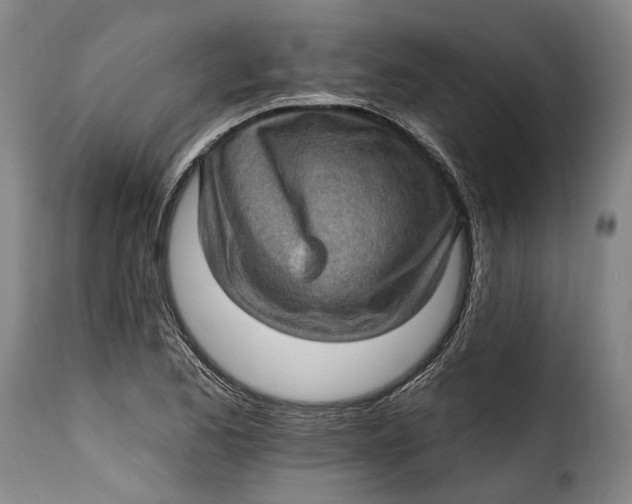 X0000115381173200911241257