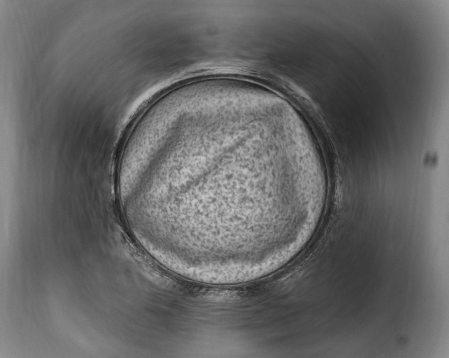 X0000115381174200911241257