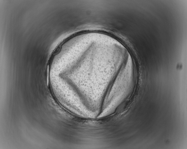 X0000115381175200911241257