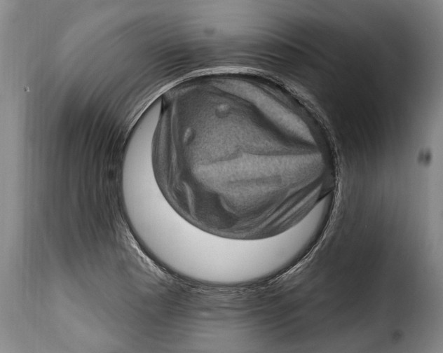 X0000115381177200911241256