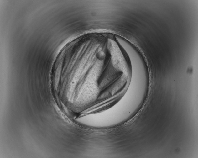 X0000115381181200911241256