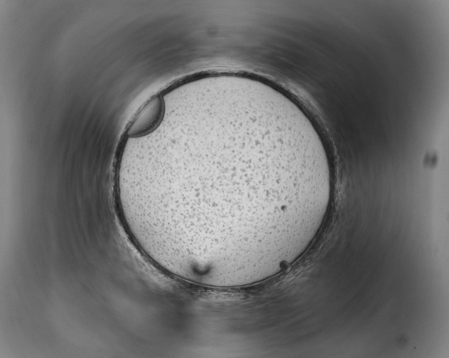 X0000115381183200911241256