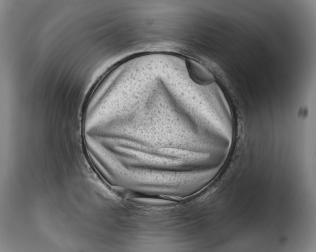 X0000115381184200911241256