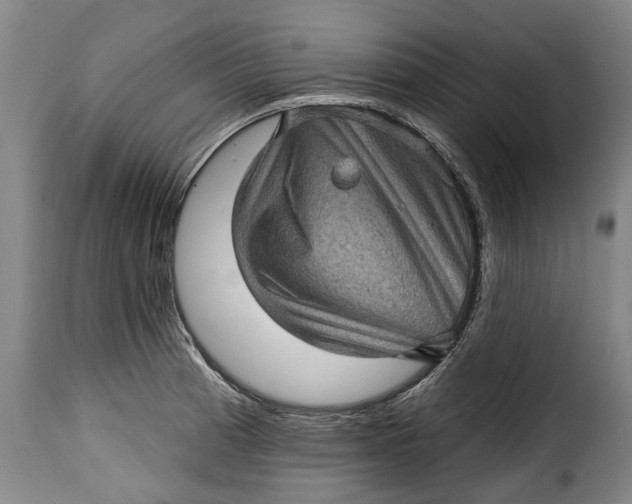 X0000115381185200911241256