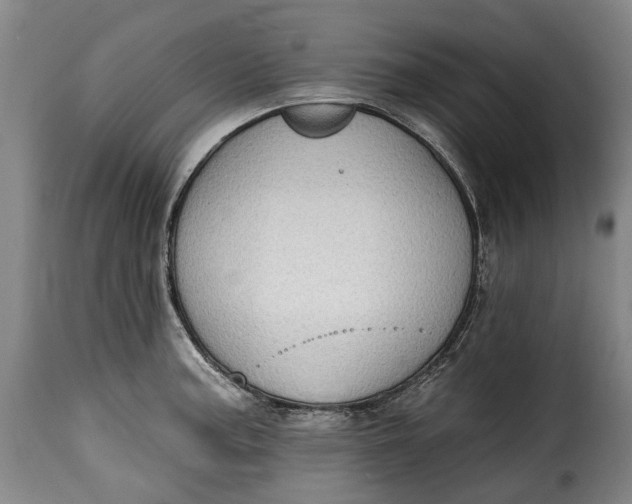 X0000115381187200911241256